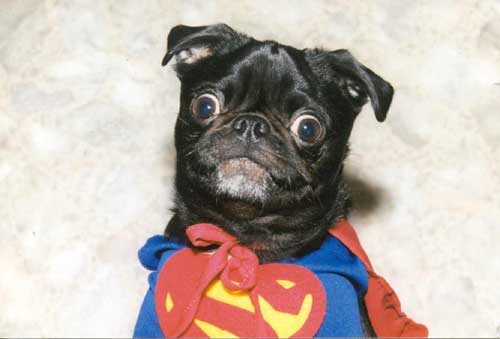 Igor is Superman (or something) Igor is Superman (or something)