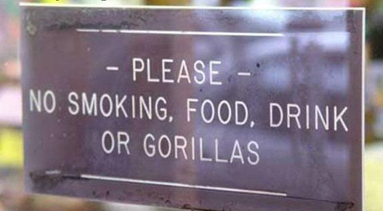 No Gorillas No Gorillas