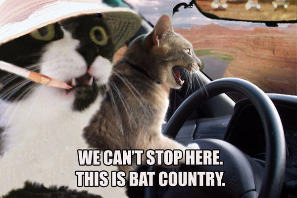 We can't stop here. This is bat country. We can't stop here. This is bat country.