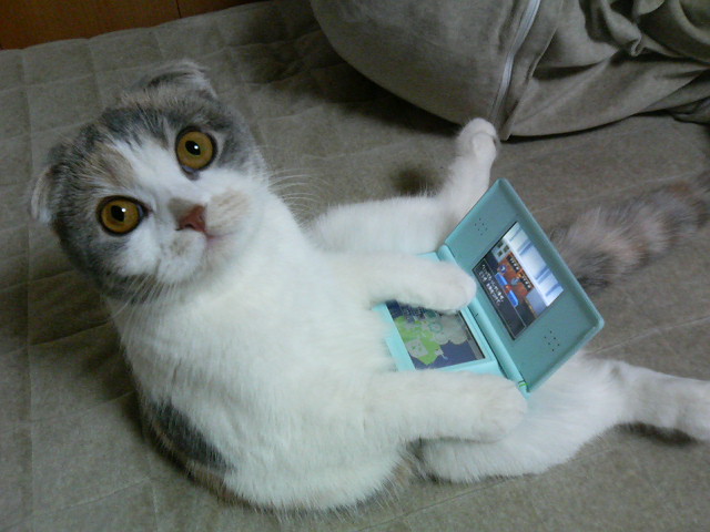 Cute Cute