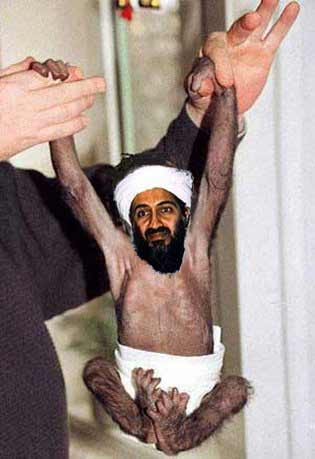 Offspring of osama Offspring of osama