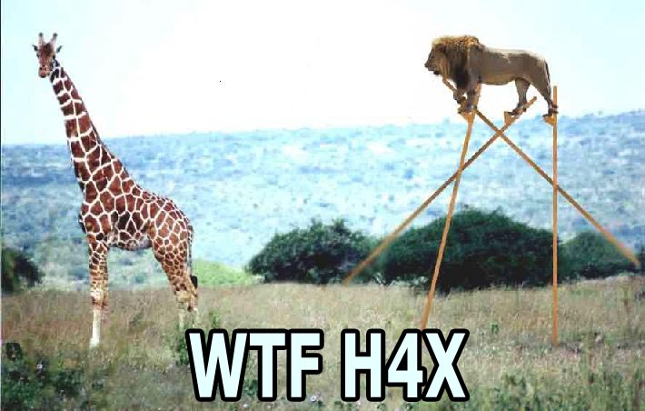 OMG H4X0R OMG H4X0R