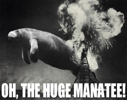 Oh, the huge manatee! Oh, the huge manatee!