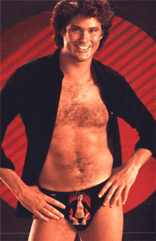 Hasselhoff's wang animation Hasselhoff's wang animation