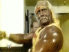 Hulkamania