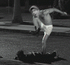 Kramer, american history X