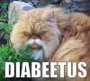 Diabeetus