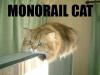 Monorail Cat