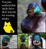 You just realized that ducks have their reasons for wearing masks.